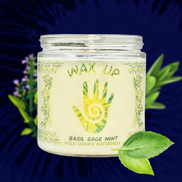 basil-sage-mint-tienda